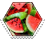 watermelon hexagonal stamp
